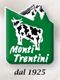 Logo_montitrentini.gif